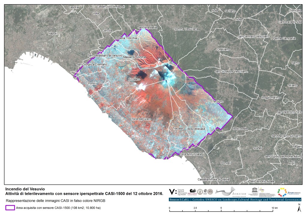 17015_Incendio_Vesuvio_CASI2016_Tav00